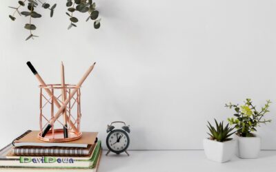 ¿Qué tipos de cuadernos existen? – Lo que necesitas saber para elegir el ideal.